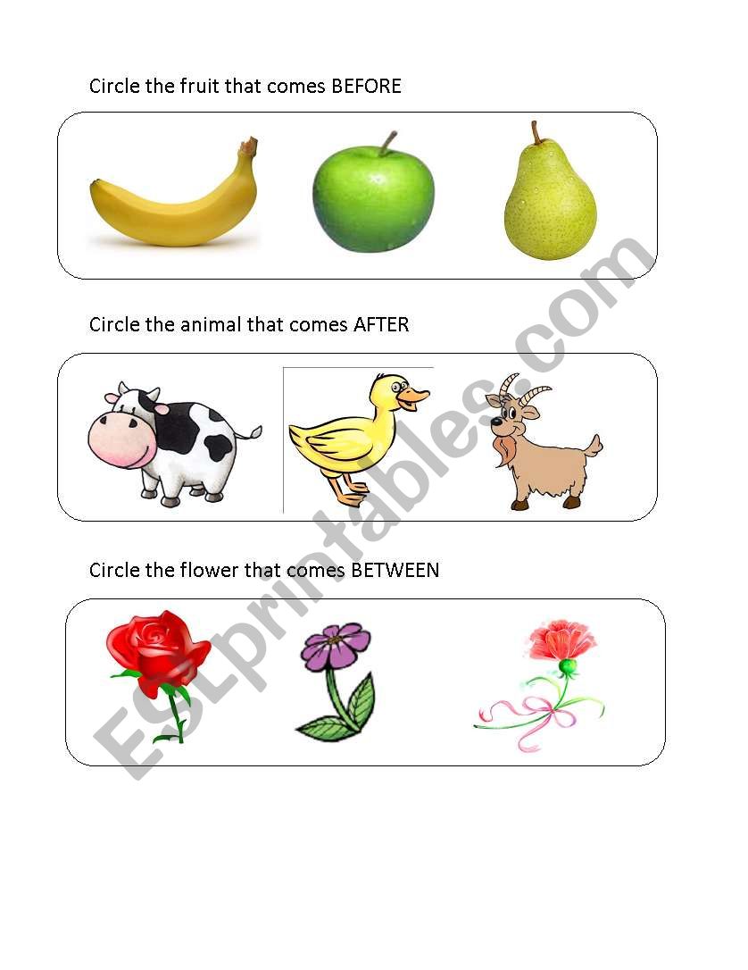 before, between and after worksheet