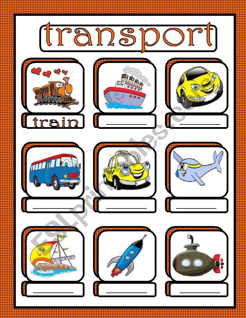 transport worksheet