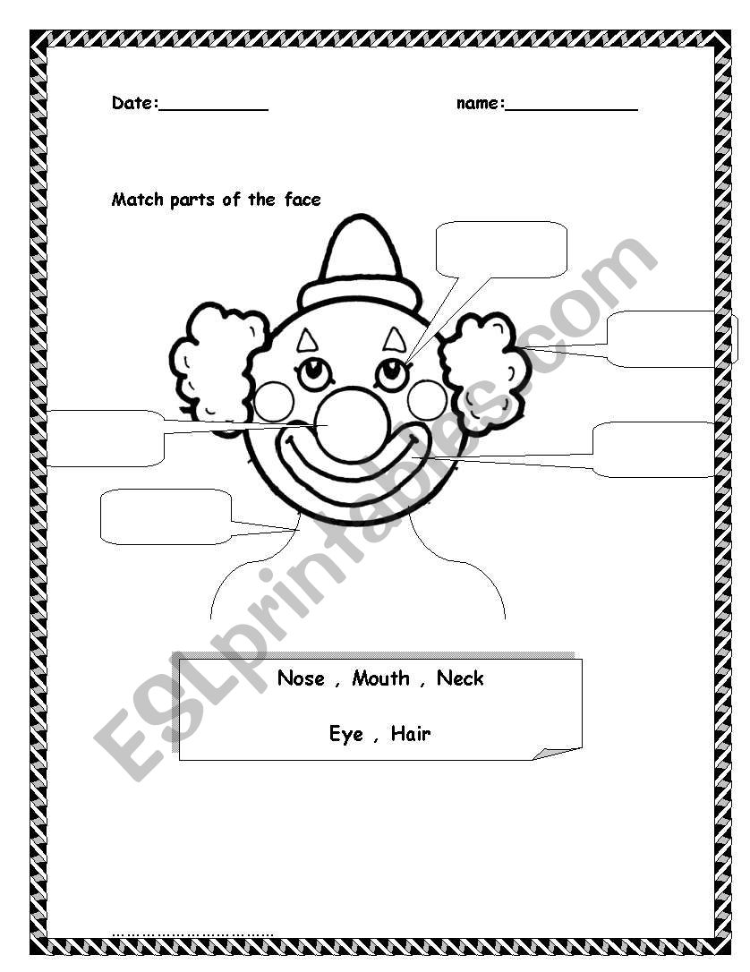 parts of the face worksheet