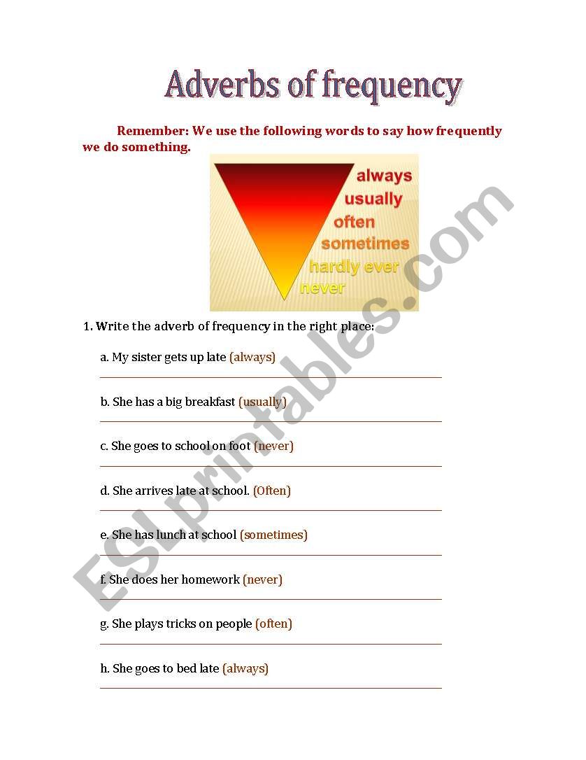 Frequency adverbs worksheet