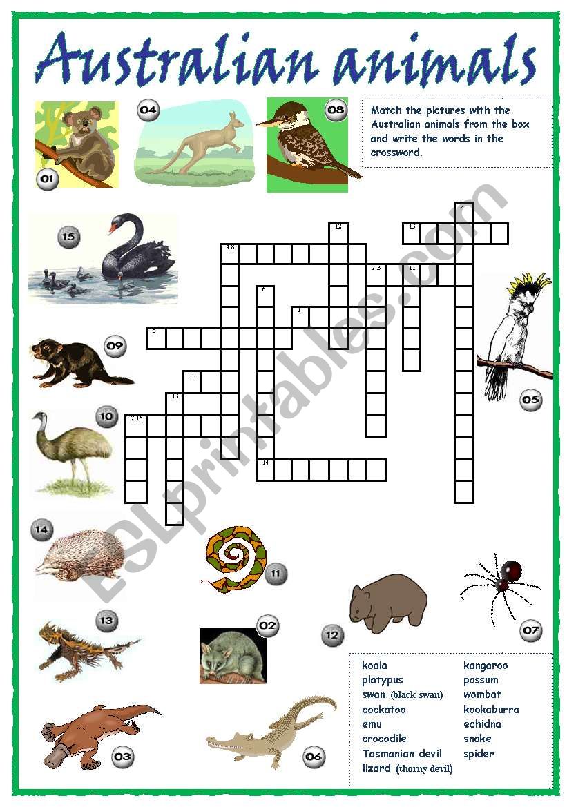 Australian animals crossword worksheet