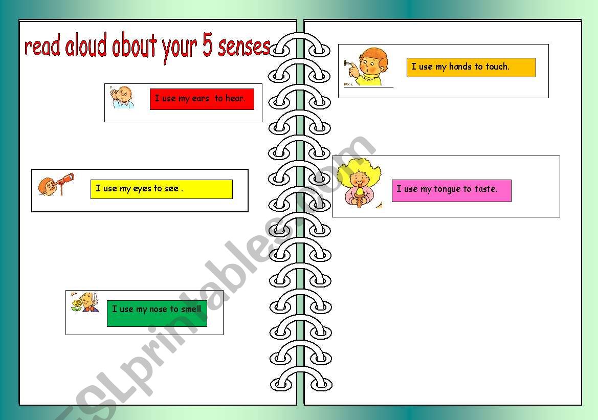 read aloud about your 5 senses
