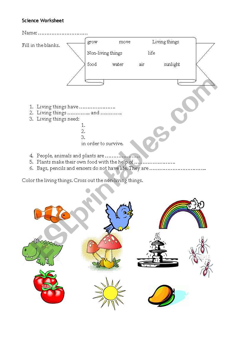 Living Things worksheet