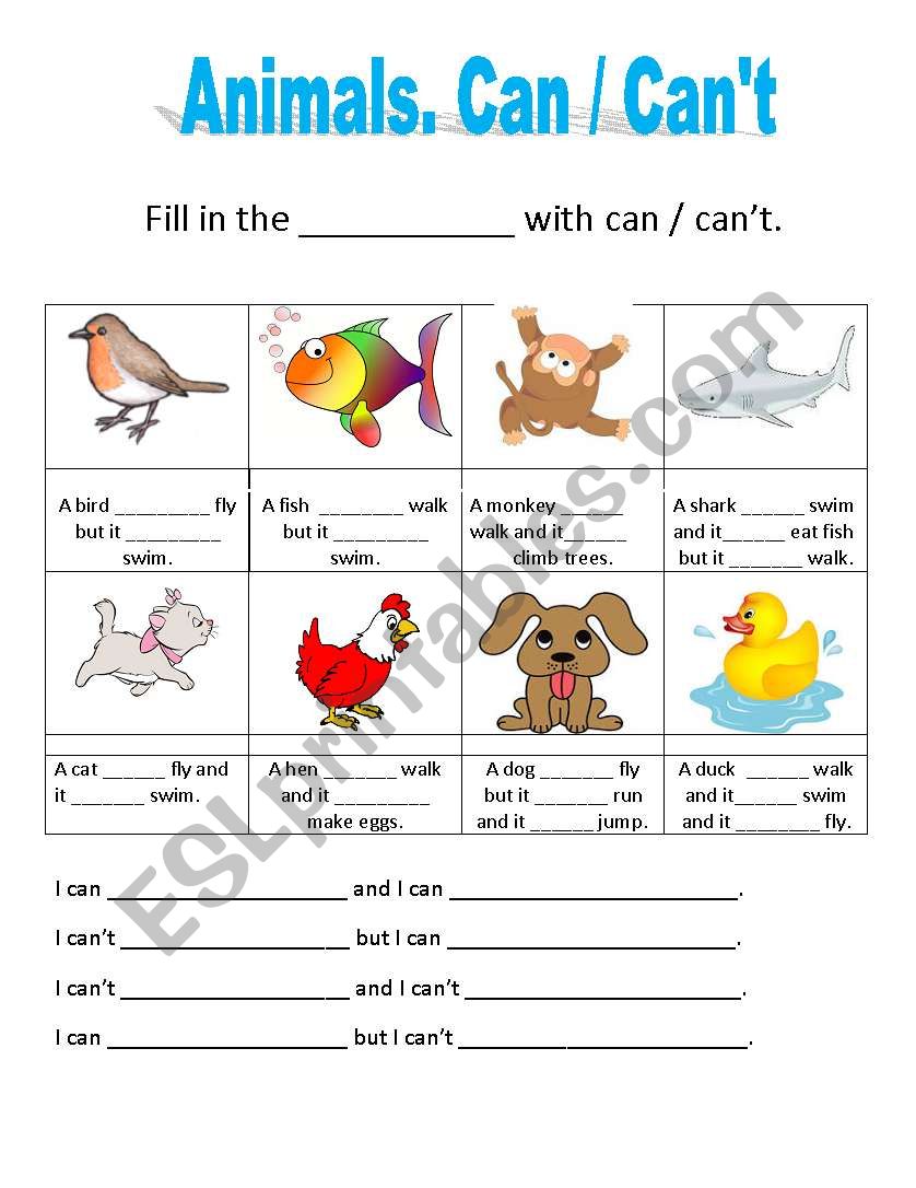 Can / Cant  worksheet