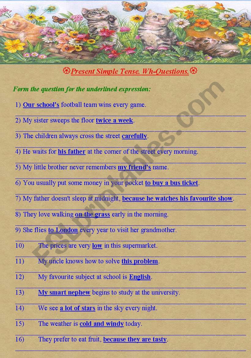 present-simple-wh-questions-wh-questions-worksheets-wh-questions-english-writing-skills