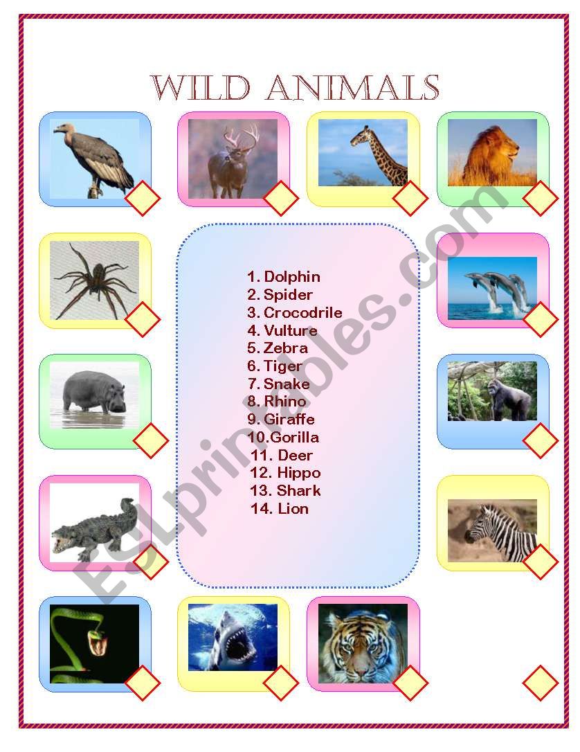 wild animals worksheet