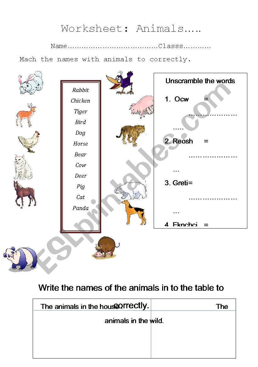 animals worksheet