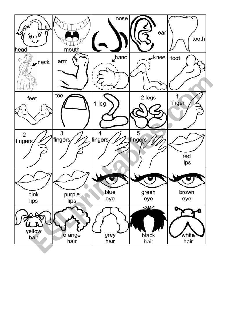 body parts cartoons worksheet