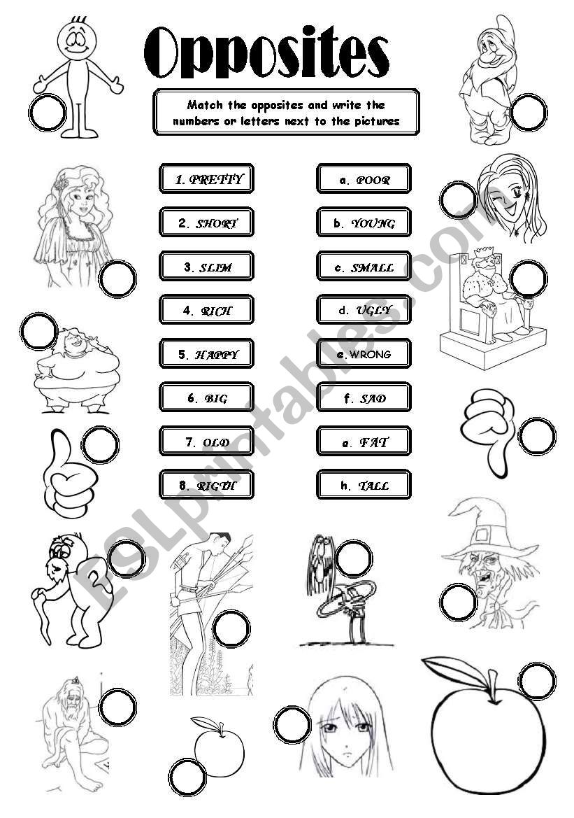 opposites worksheet