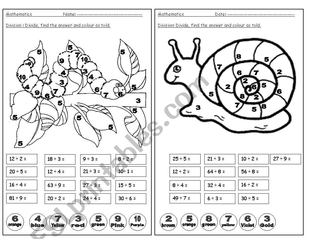 Division  worksheet