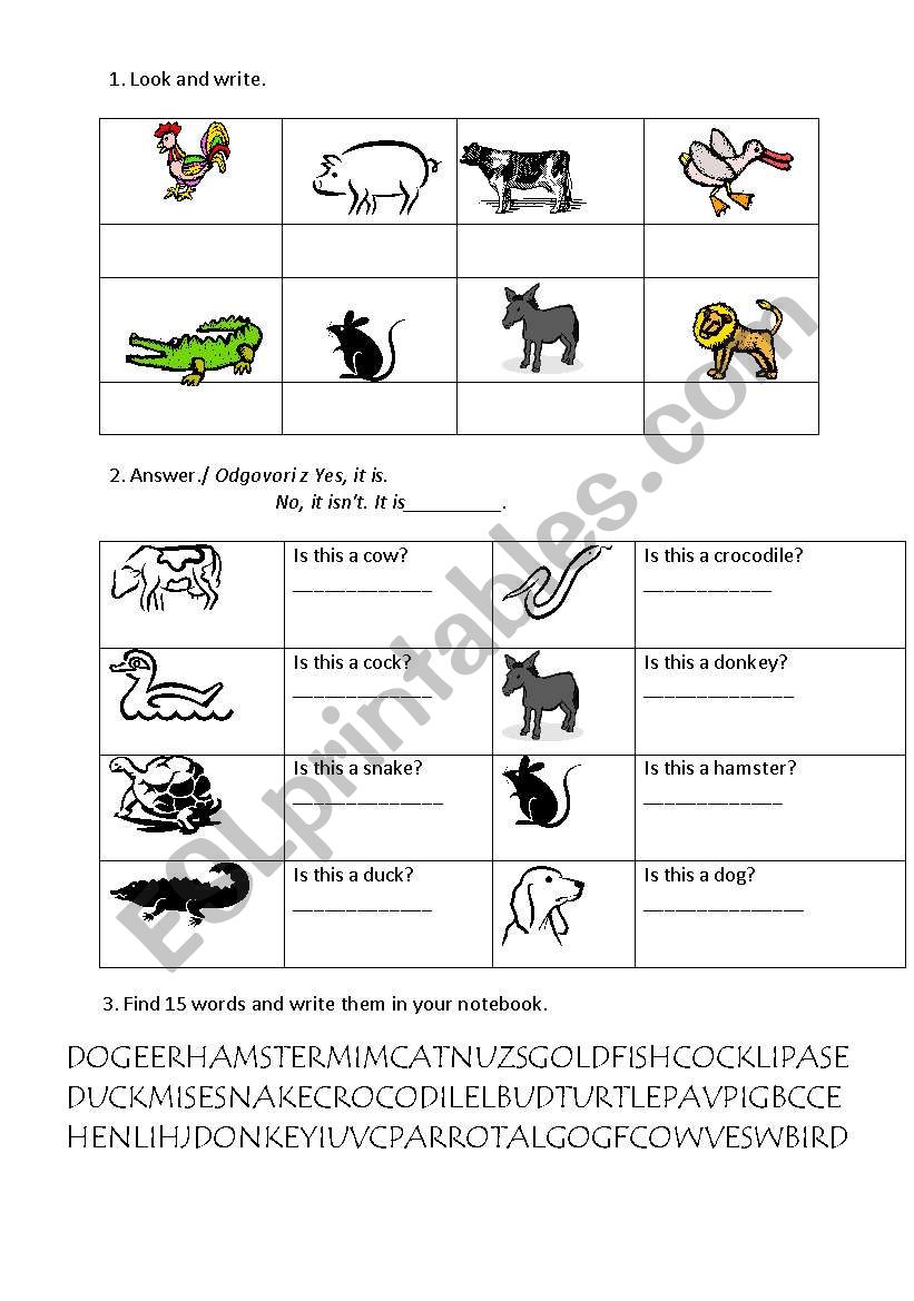 Animals worksheet