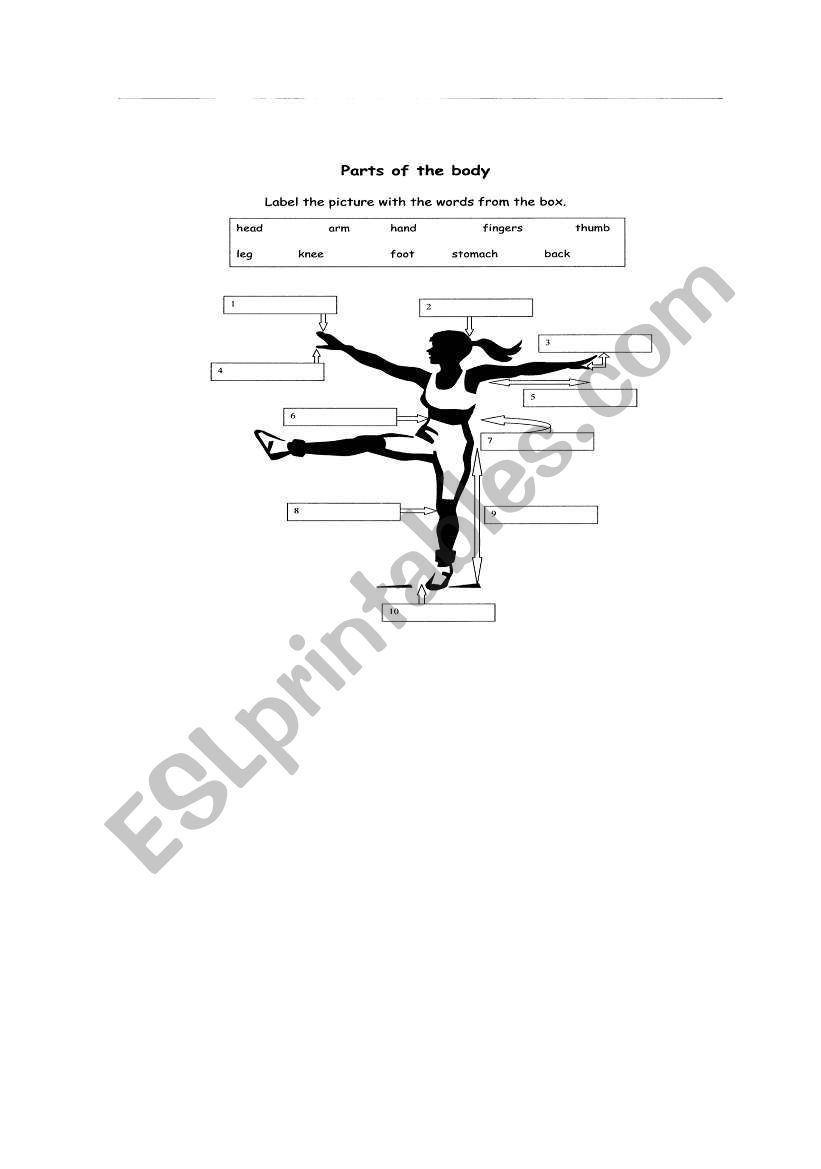 Body parts worksheet