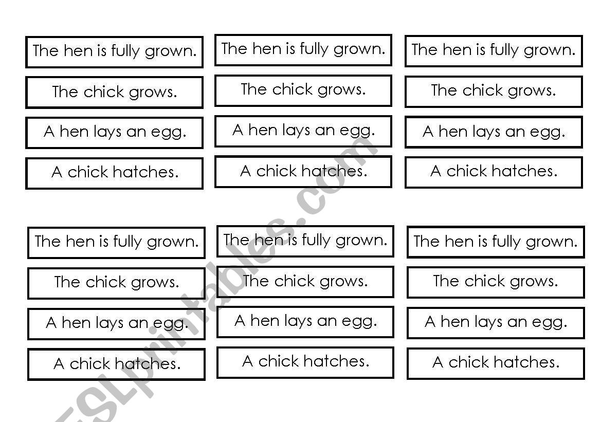 The Life Cycle Of A Chicken worksheet