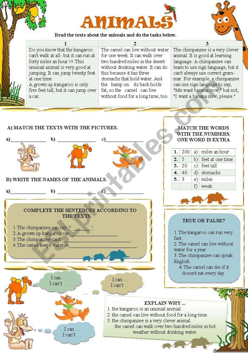 READING TEXTS ABOUT ANIMALS worksheet