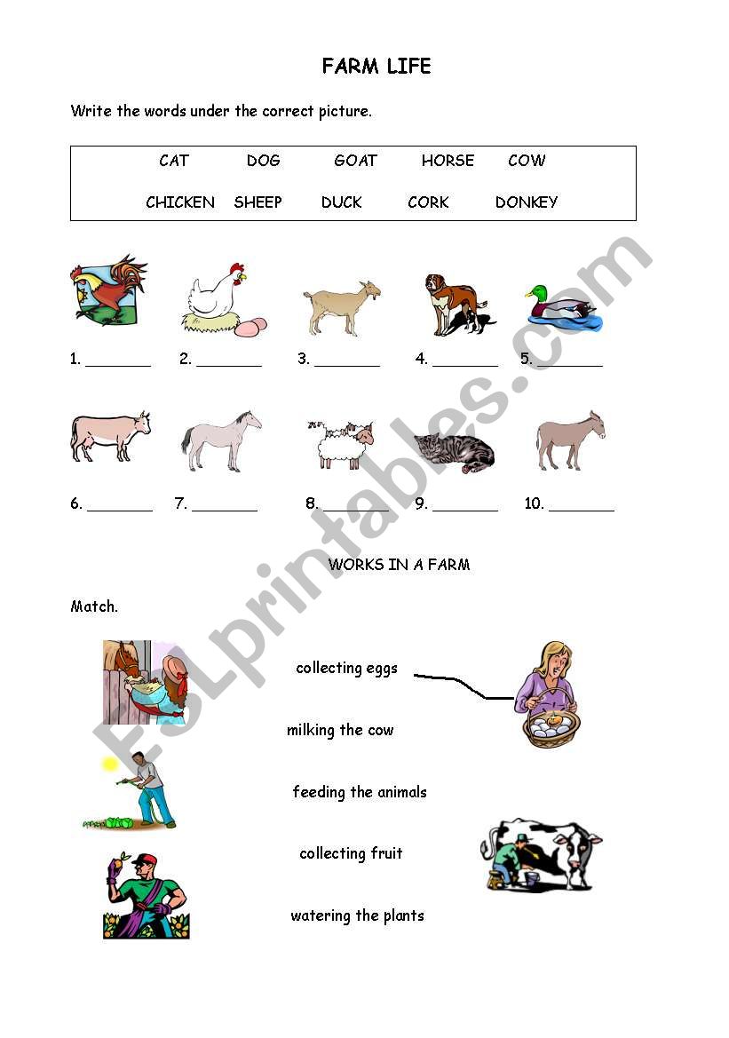 FARM LIFE worksheet