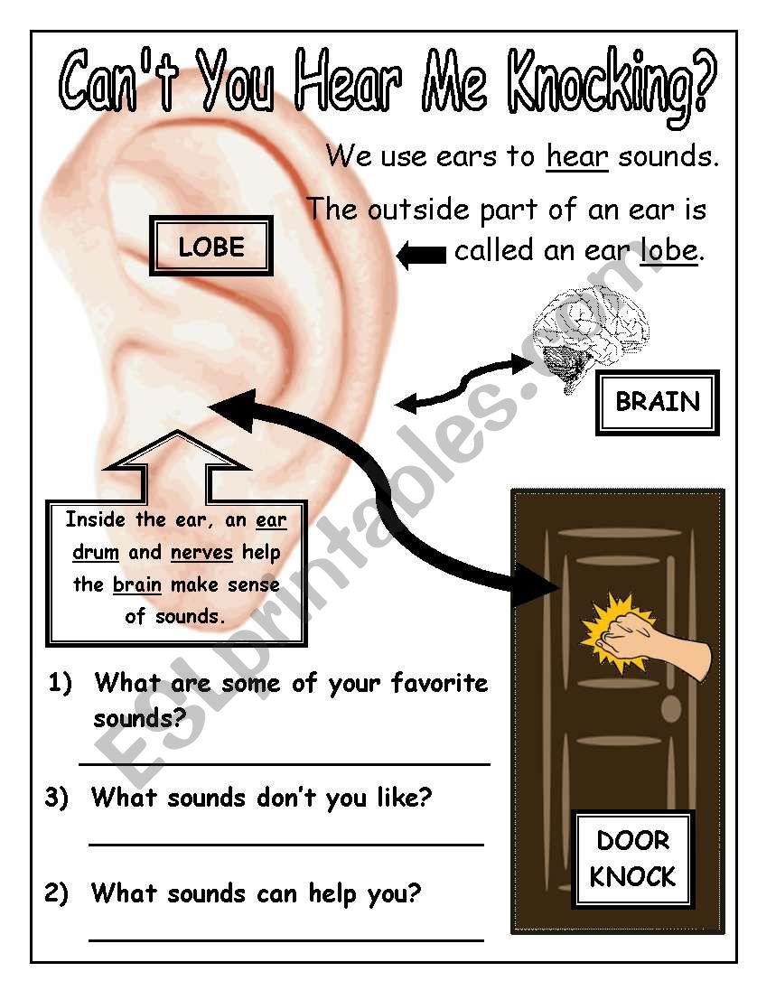 Cant You Hear Me Knocking? - The Sense of Sound