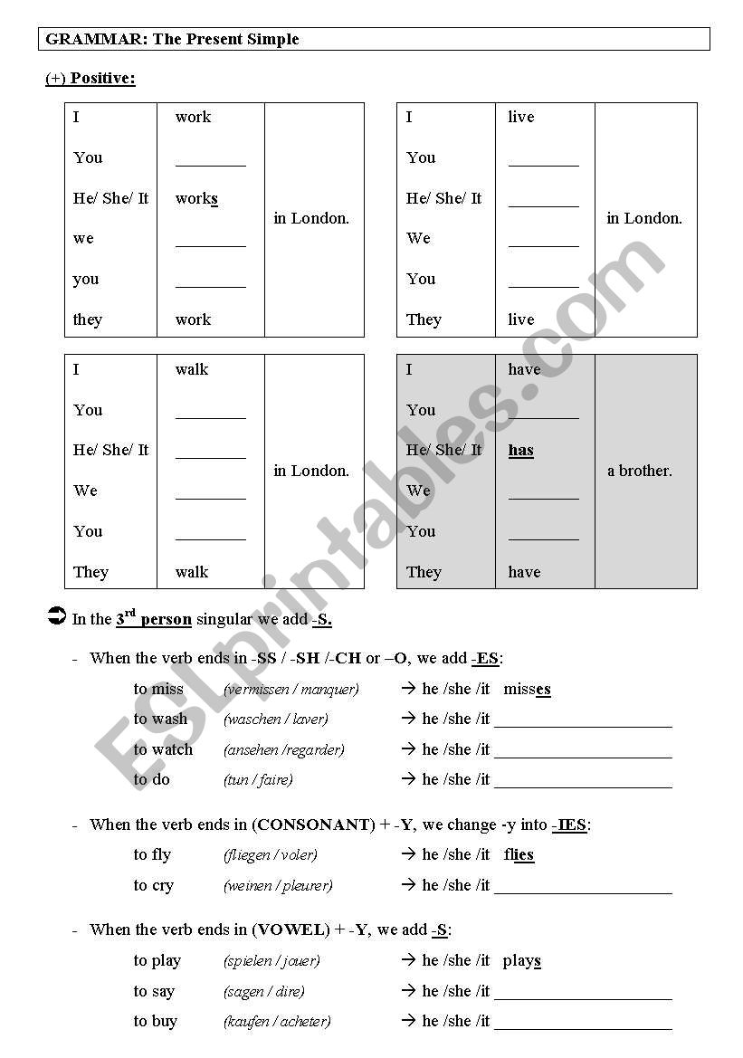 Grammar Worksheet:: The Present Simple