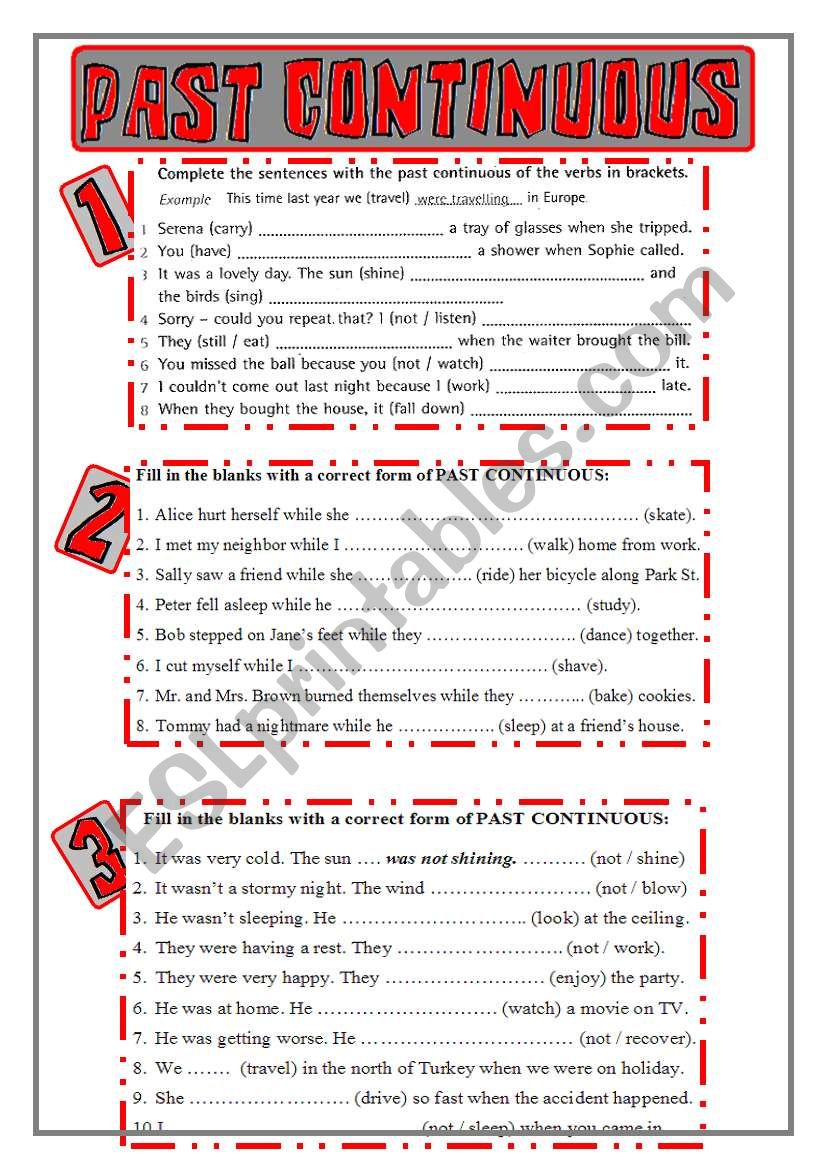 PAST CONTINUOUS worksheet