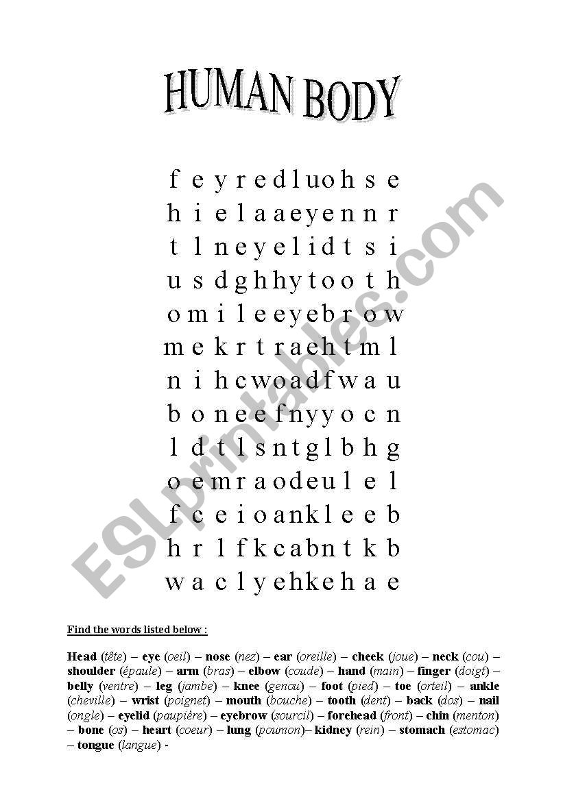 Body (word search) worksheet