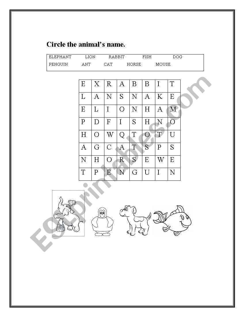 Animals worksheet