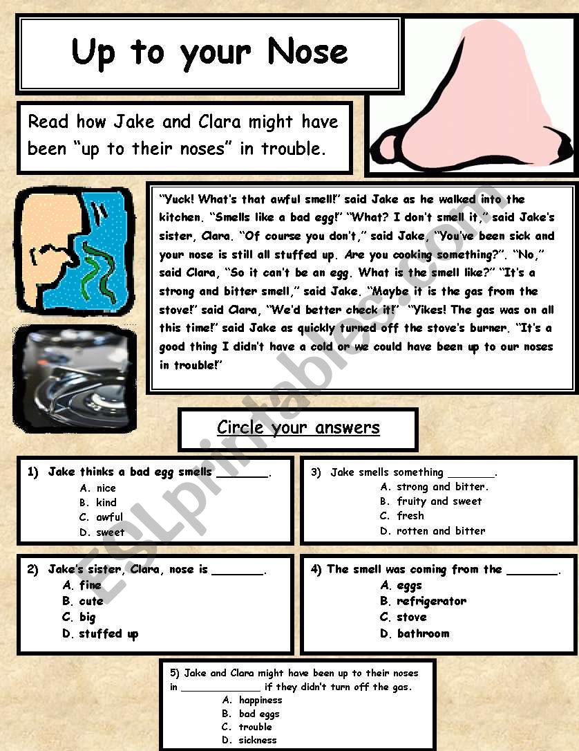 Up to Your Nose#1 worksheet