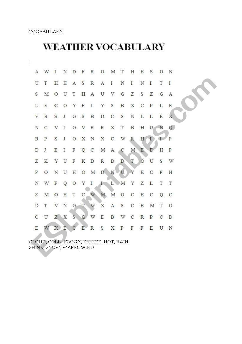 weather VOCABULARY worksheet