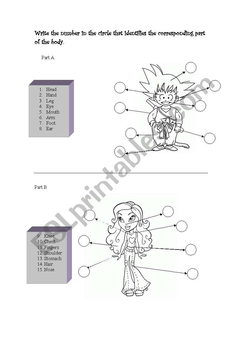 Parts of the body worksheet