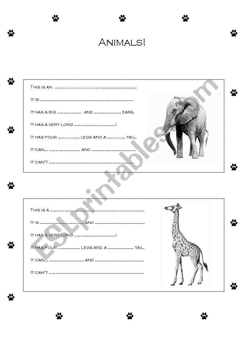 Animals worksheet