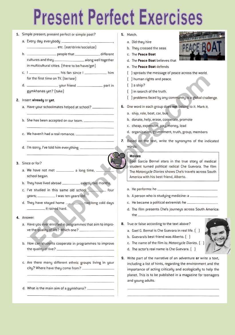 Present Perfec Exercises worksheet