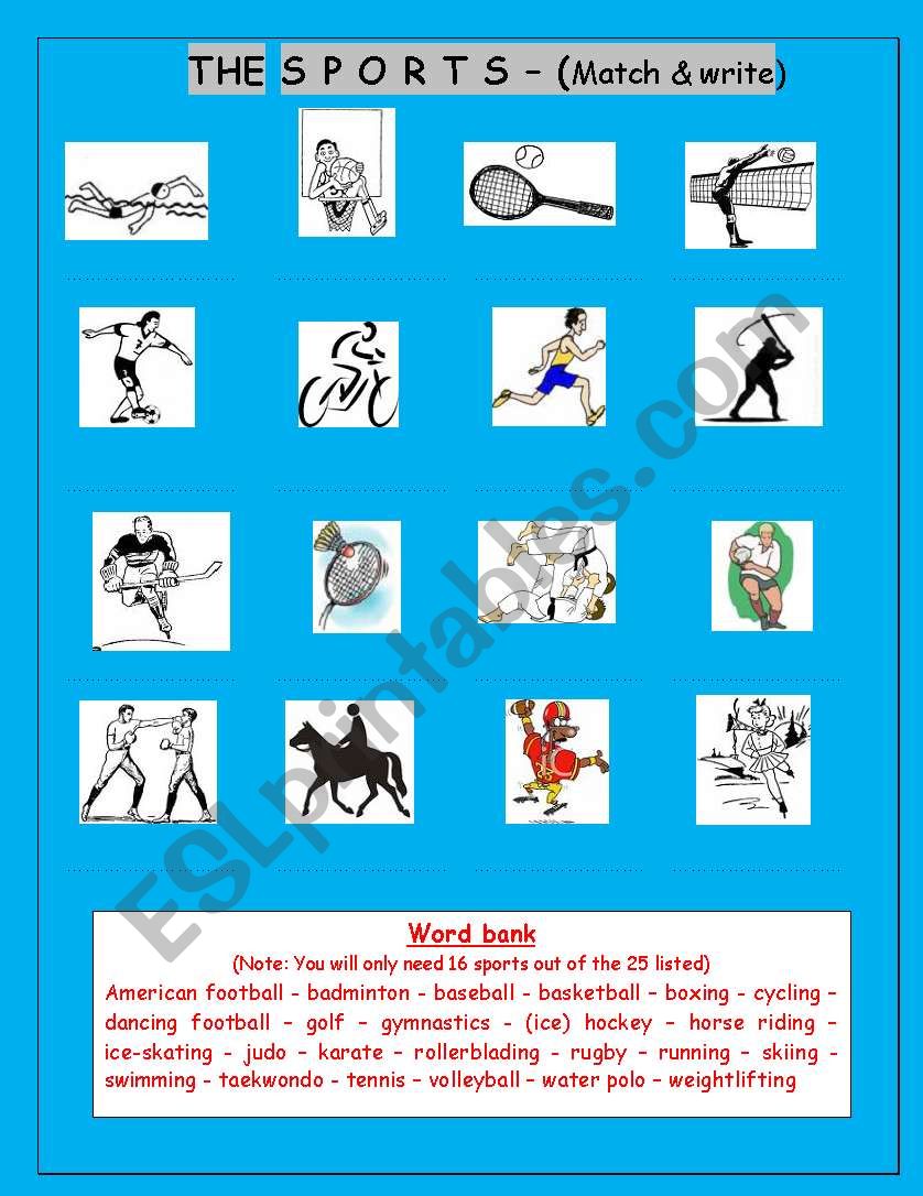 sports worksheet