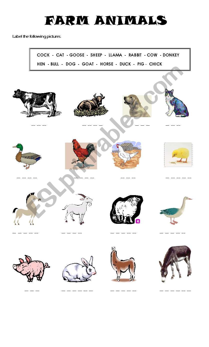 Farm animals worksheet