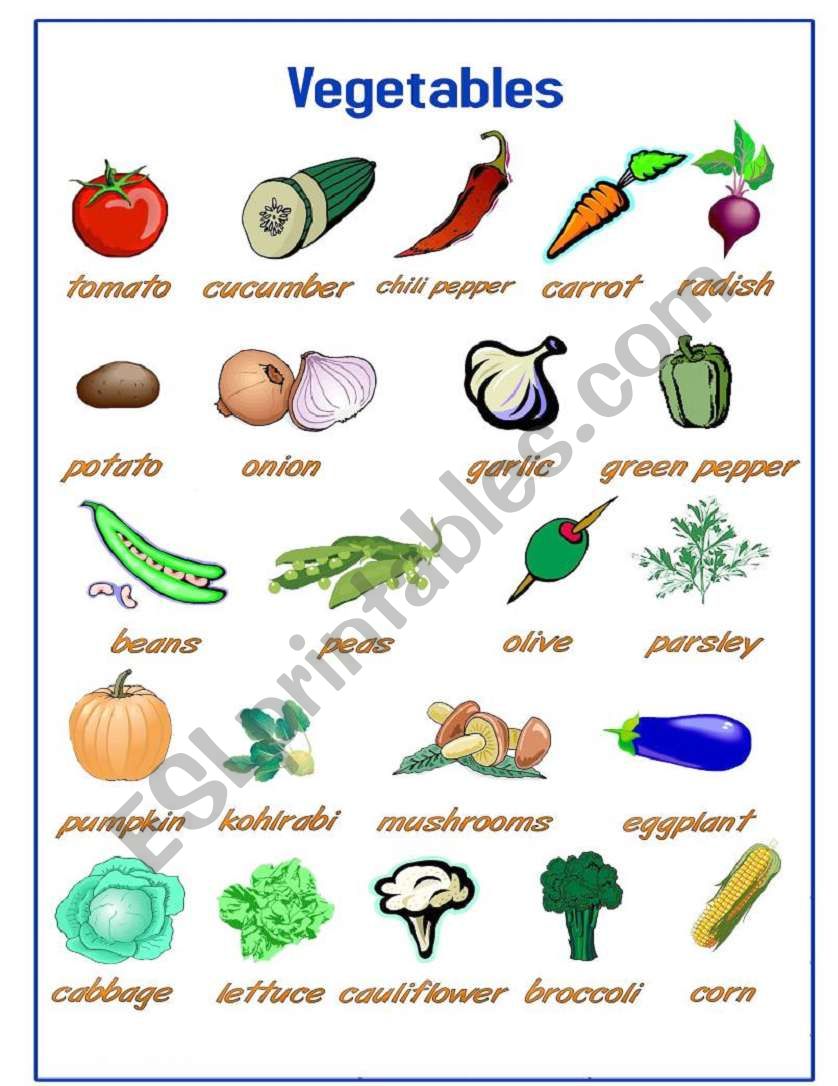 Vegetables-Pictionary worksheet