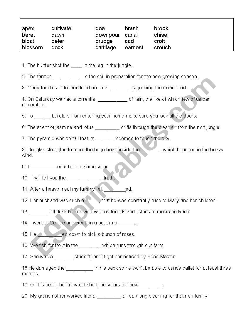 Cloze Test worksheet