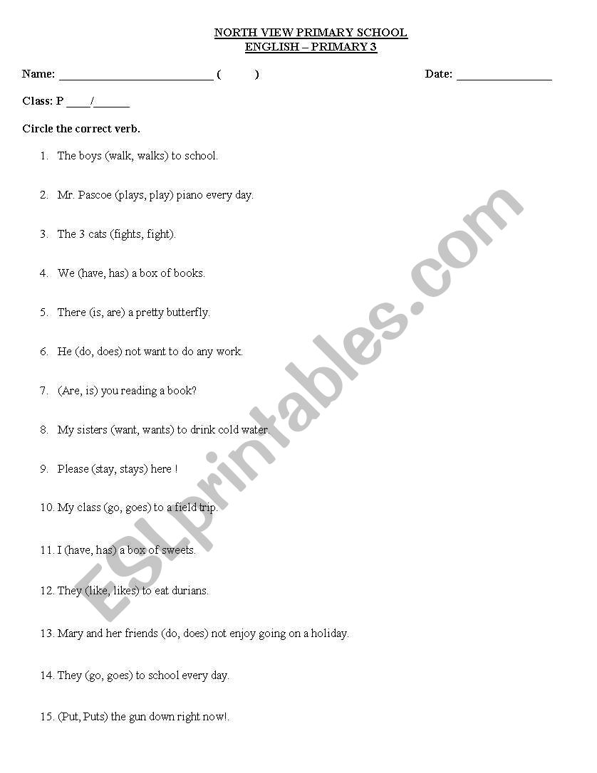 subject verb agreement worksheet