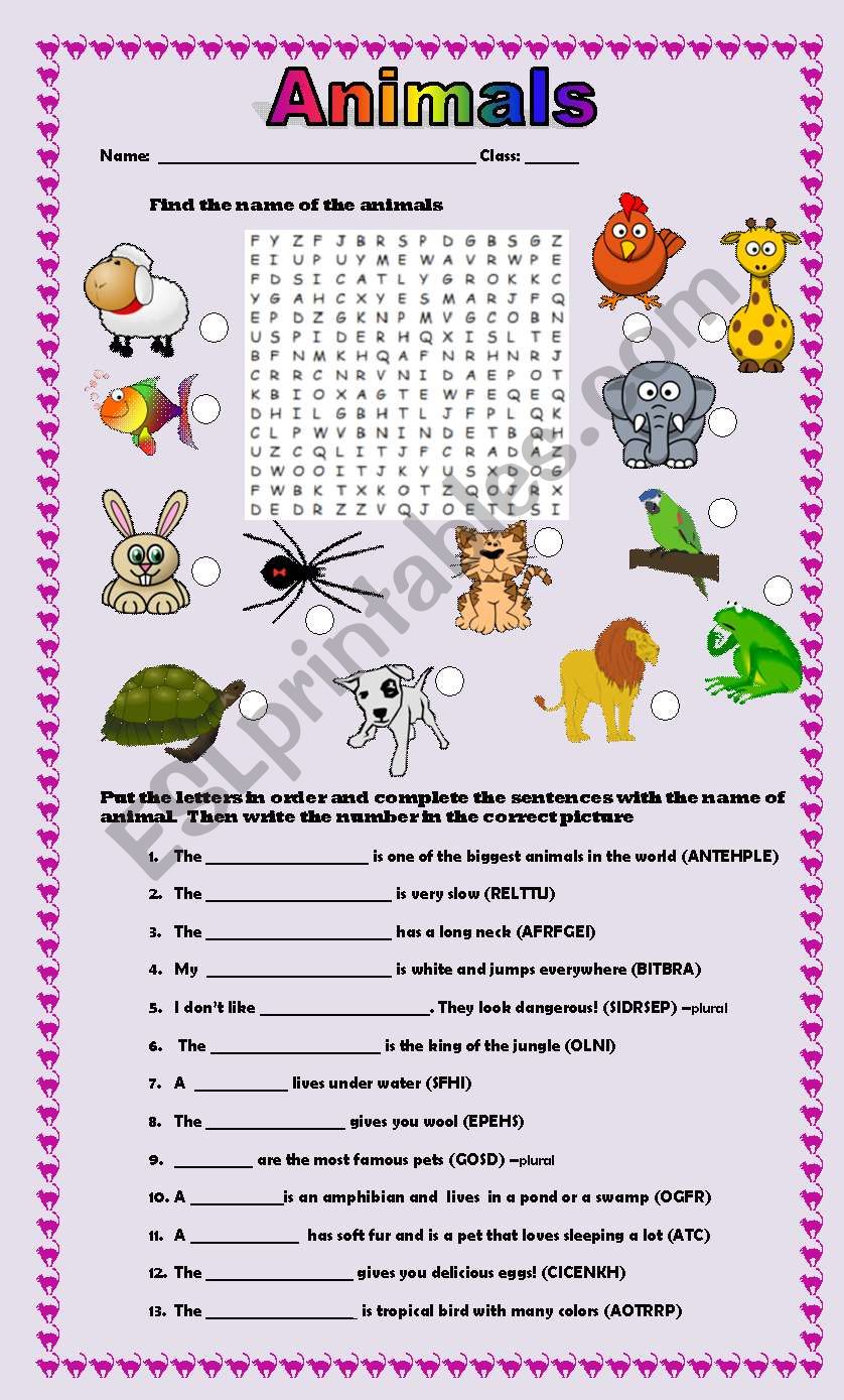 ANIMALS worksheet