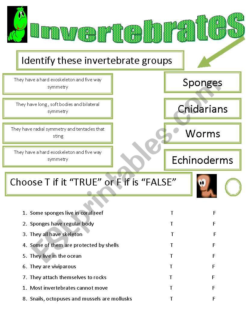 Invertebrates worksheet