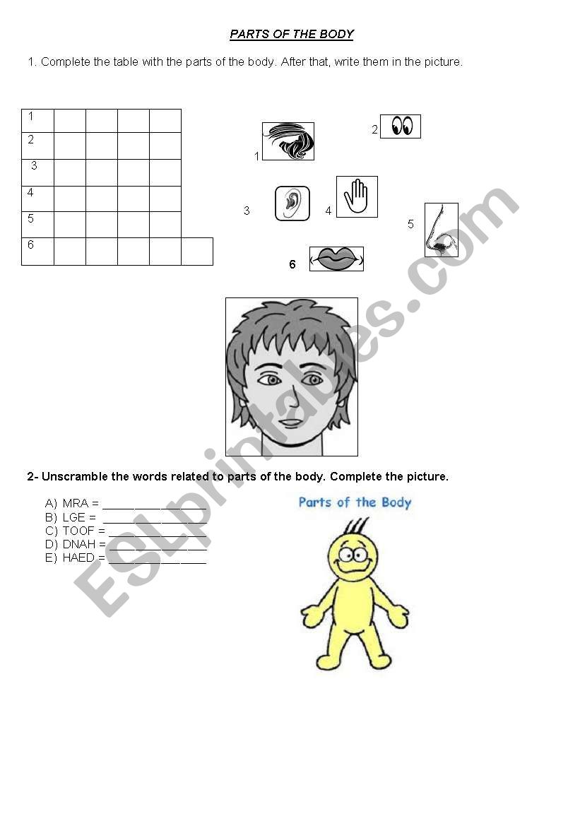parts of the body worksheet