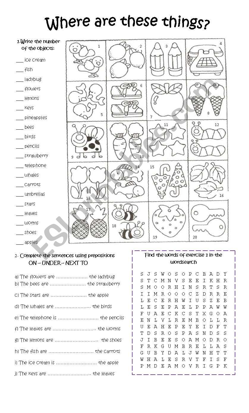 WHERE ARE THESE THINGS? worksheet