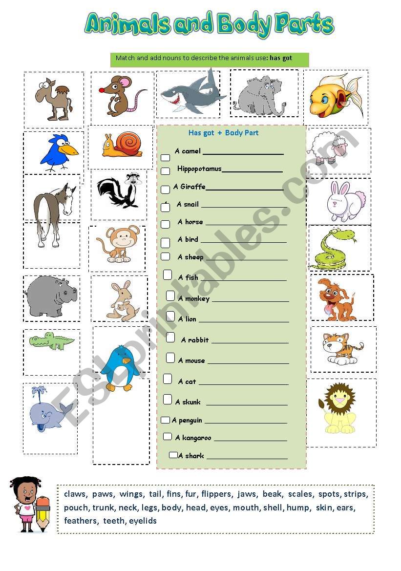 Animals and Body Parts  2/2 worksheet