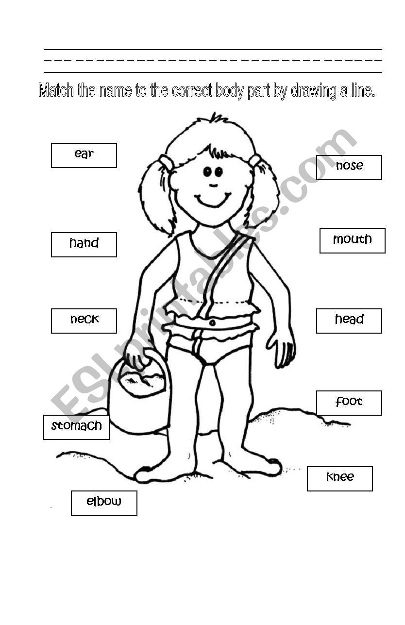 Identifying Body Parts worksheet