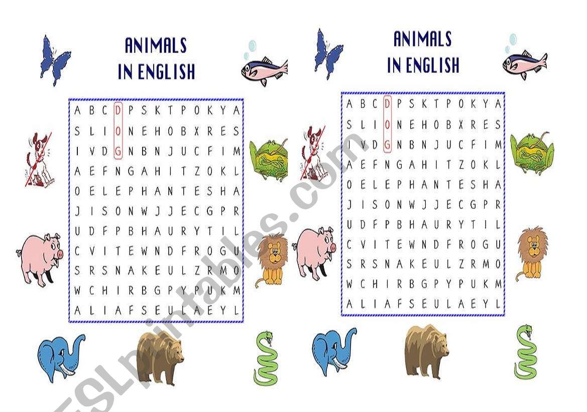 animals worksheet