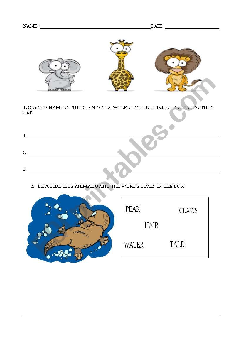 Animals worksheet