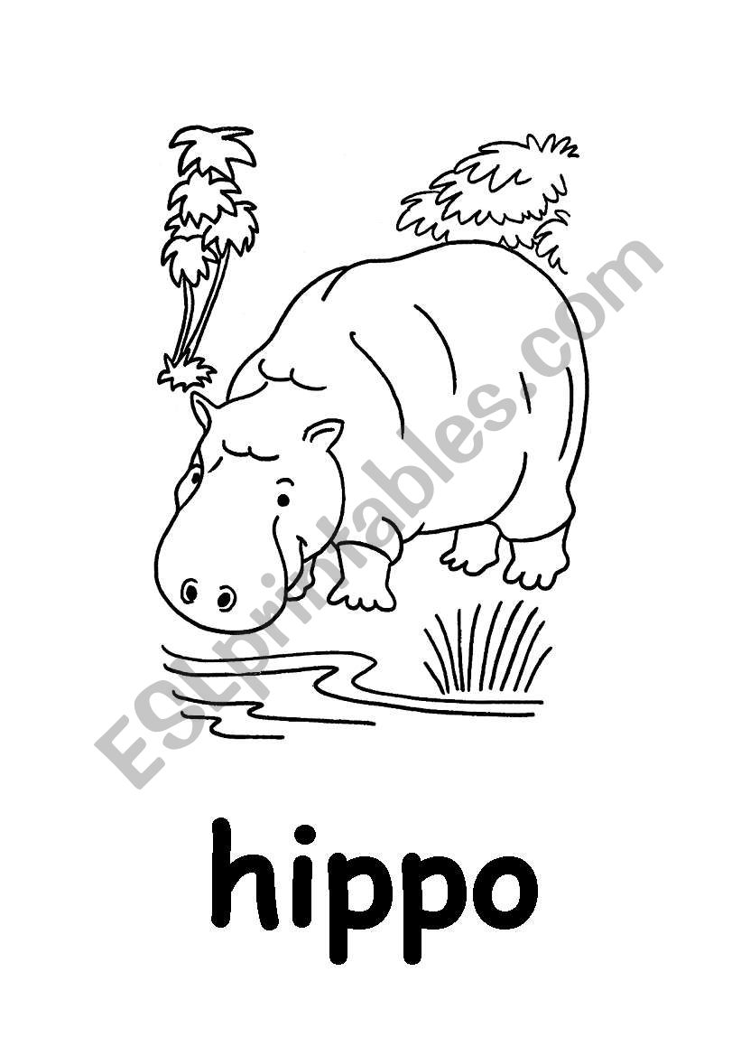 hippo worksheet