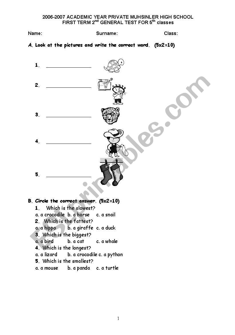 general test worksheet