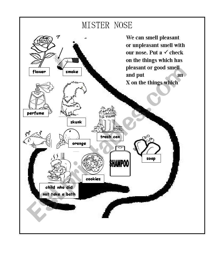 Whats The Smell? (Editable) worksheet