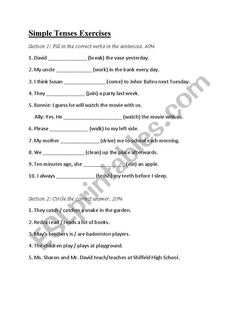 Simple Tenses Exercises worksheet