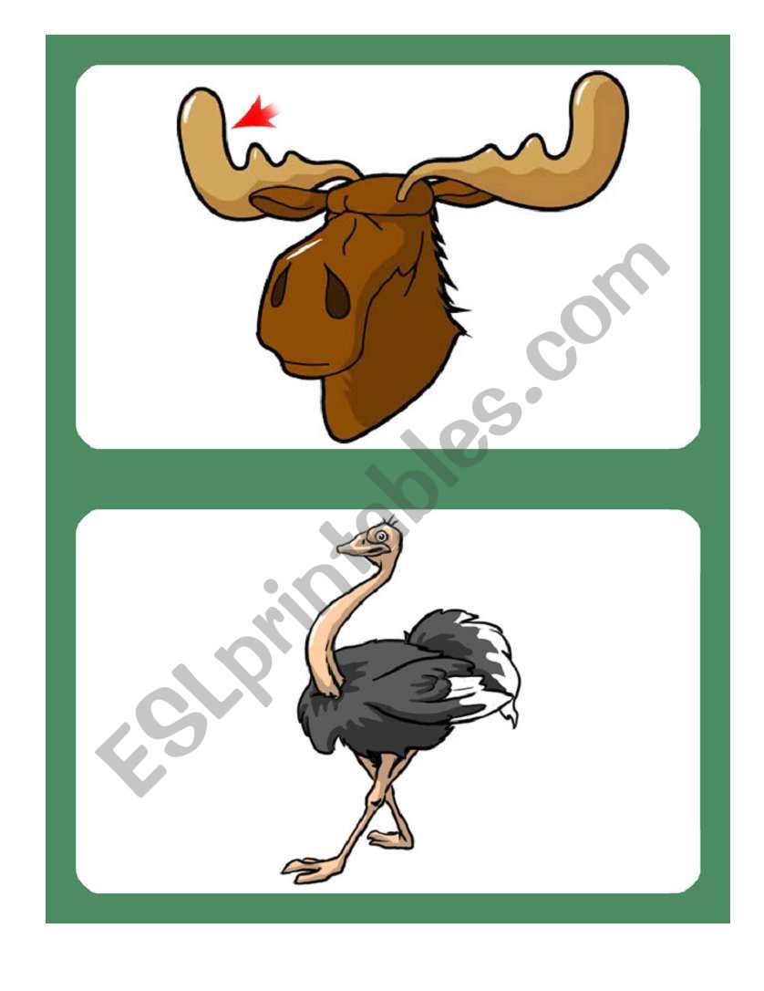 Flashcards - Animals 03/04 worksheet