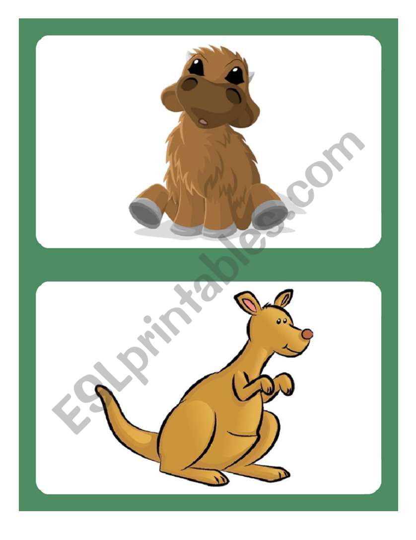 Flashcards - Animals 04/04 worksheet