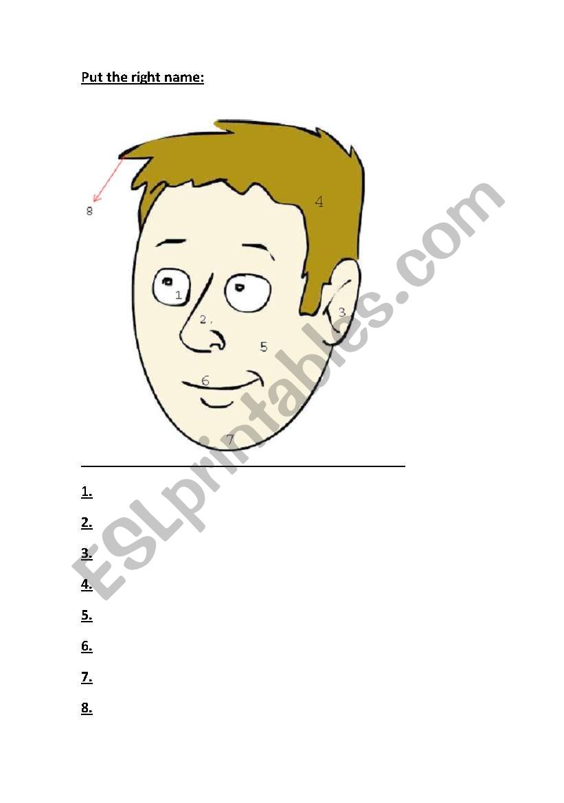 THE FACE worksheet