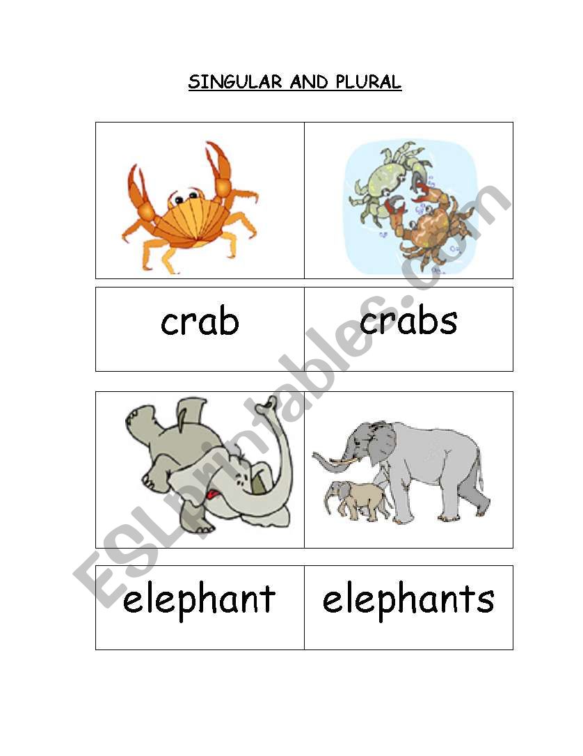 Singular and Plural (Part 2 - cards 13 to 24)